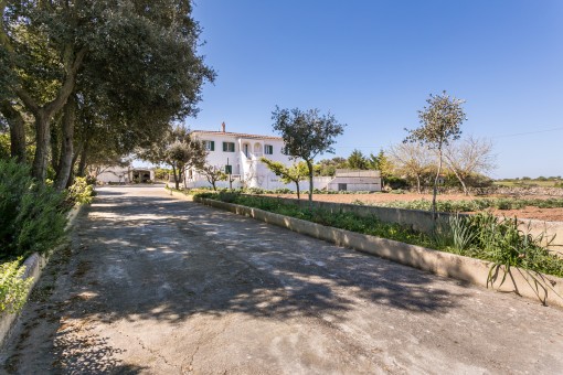 Einfamilienhaus In Alaior Mit Grundstuck Obstgarten Und Pool Kaufen
