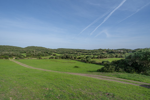 Zufahrt zur Finca