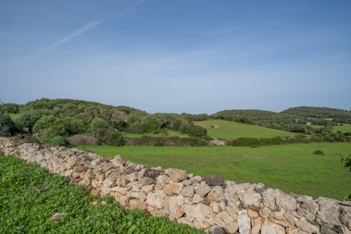 Blick über das Grundstück und die Landschaft