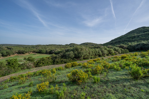 Blick über das Grundstück und die Landschaft