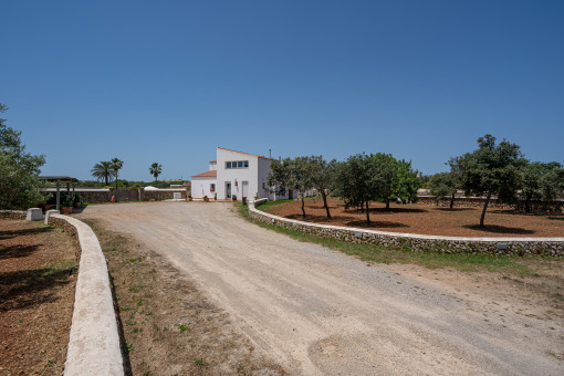 Zufahrt zur Finca