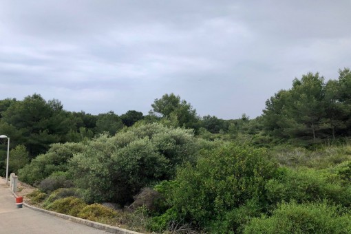 Urbanes Baugrundstück in Coves Noves in der Nähe von Arenal d'en Castell, Addaia und Son Parc