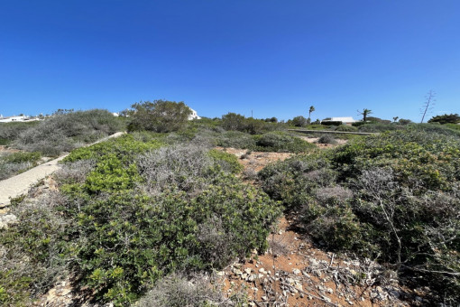 Wunderschönes Investitionsgrundstück in erster Meereslinie, Meerblick, in Binidali, Menorca.