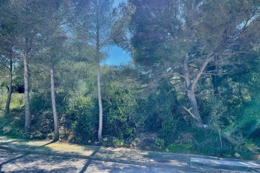 Ansicht des Baugrundstücks