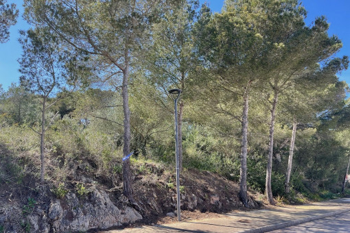 Ansicht des Baugrundstücks